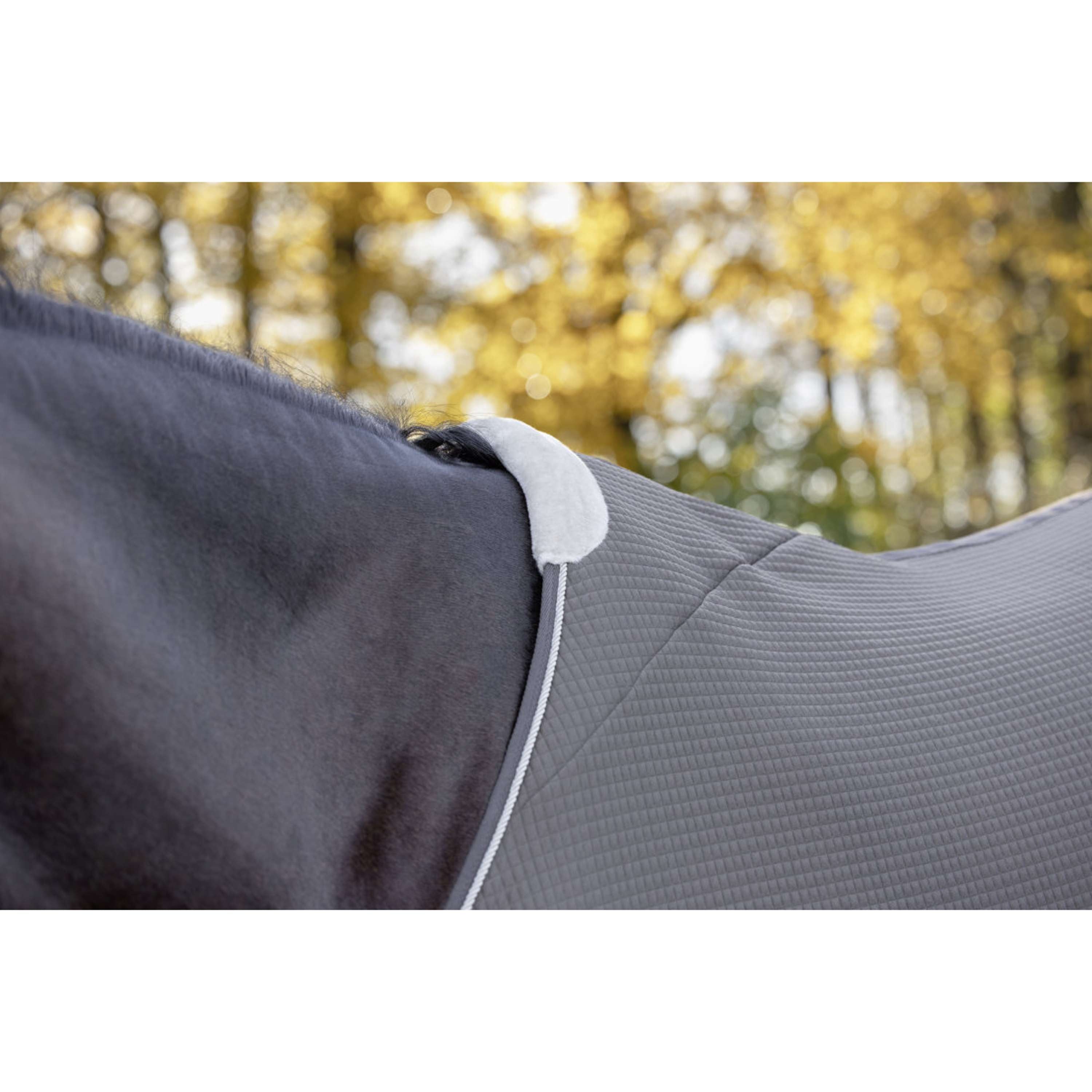 Covalliero Coperta antisudore Premium AW26 Milky Chocolate