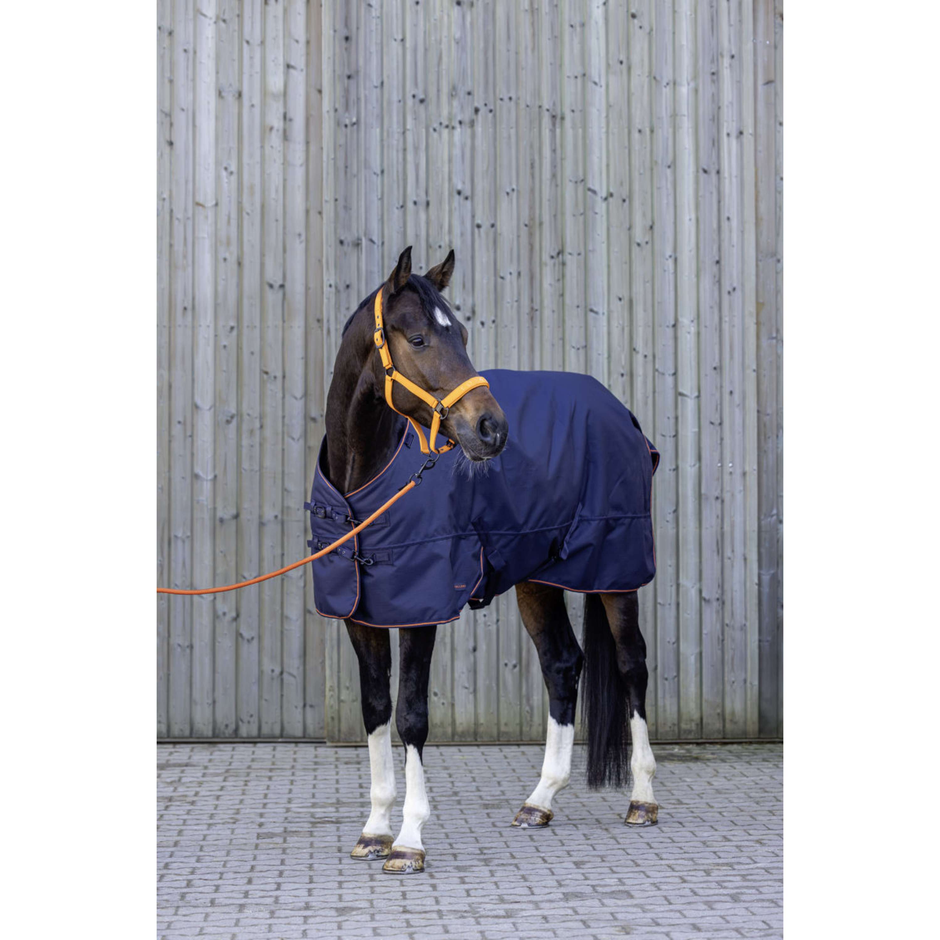 Covalliero Tappeto da Esterno AW26 300g Dark Navy