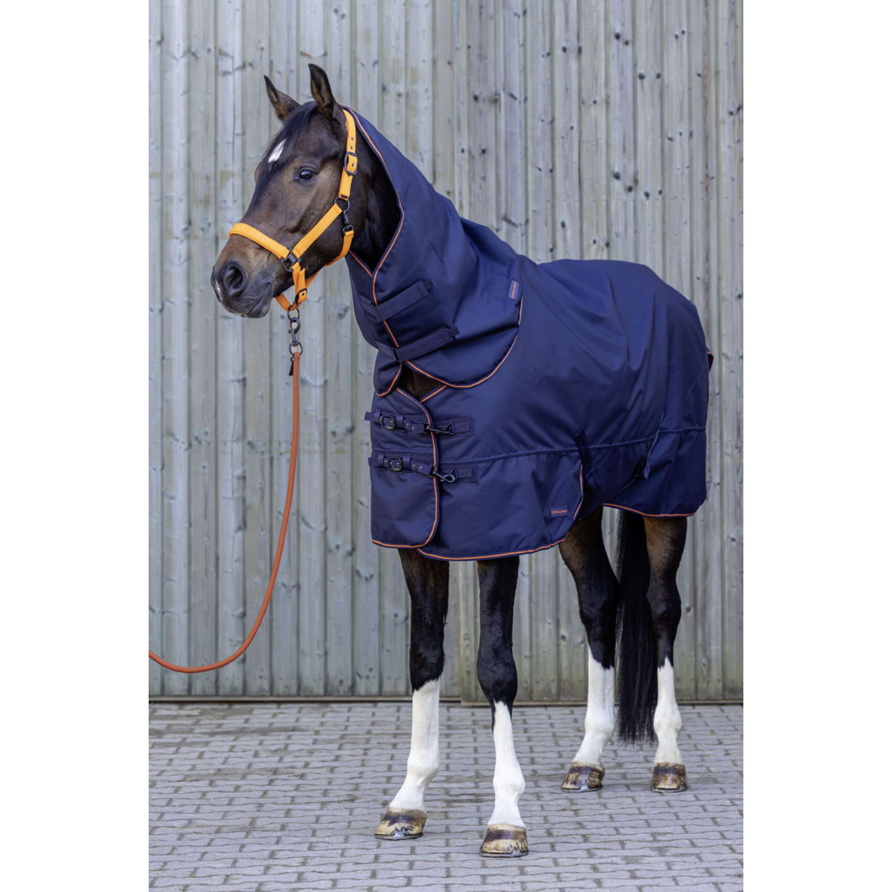Covalliero Copricollo AW26 100g Dark Navy