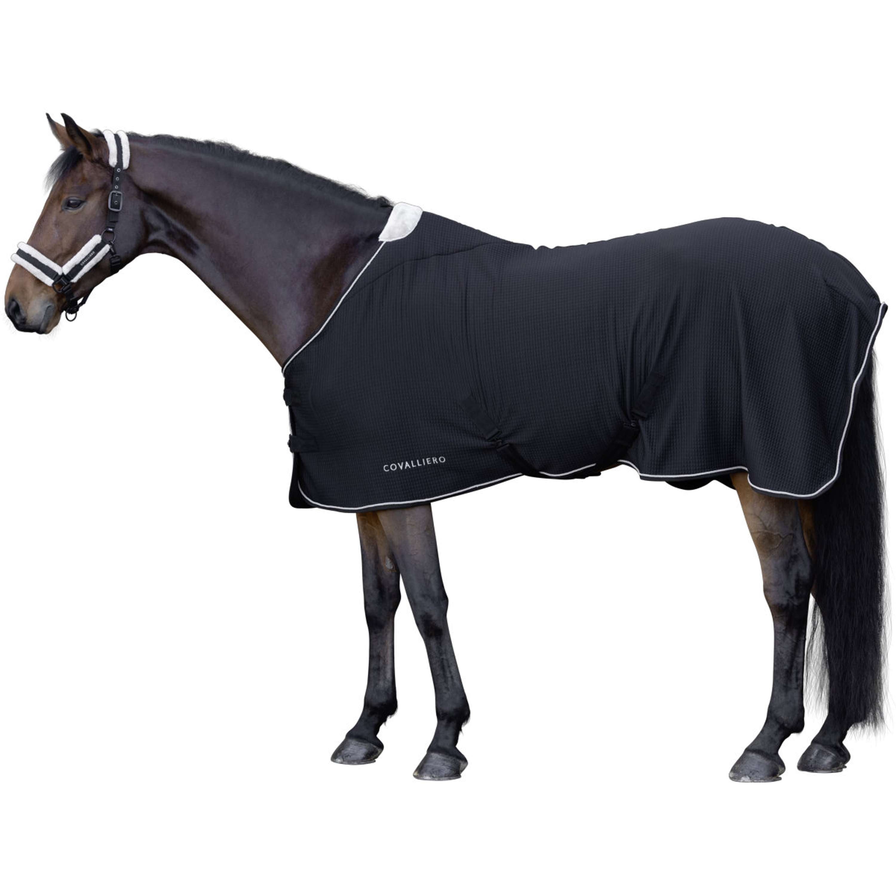 Covalliero Coperta antisudore Premium AW26 Nero