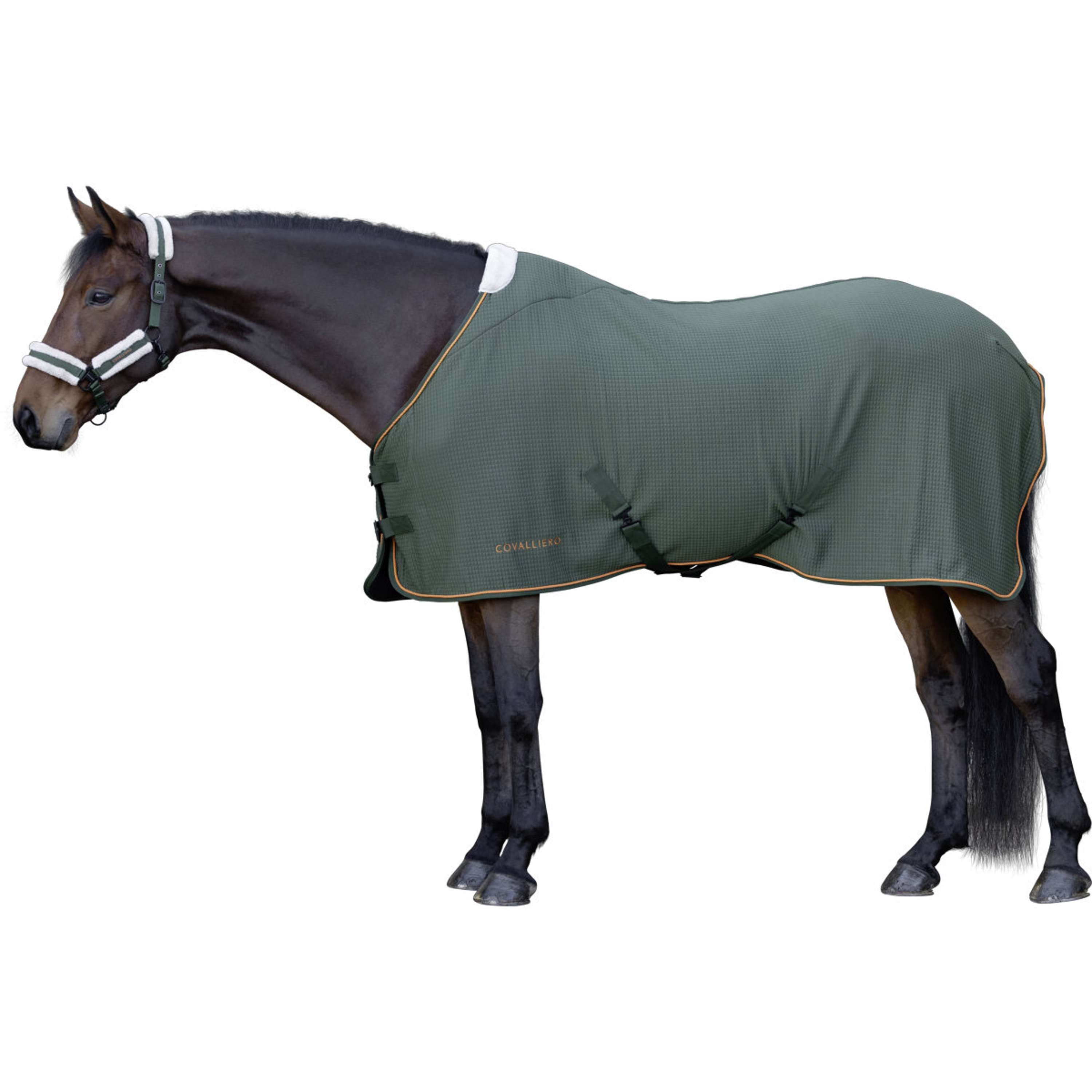 Covalliero Coperta antisudore Premium AW26 Forest Green