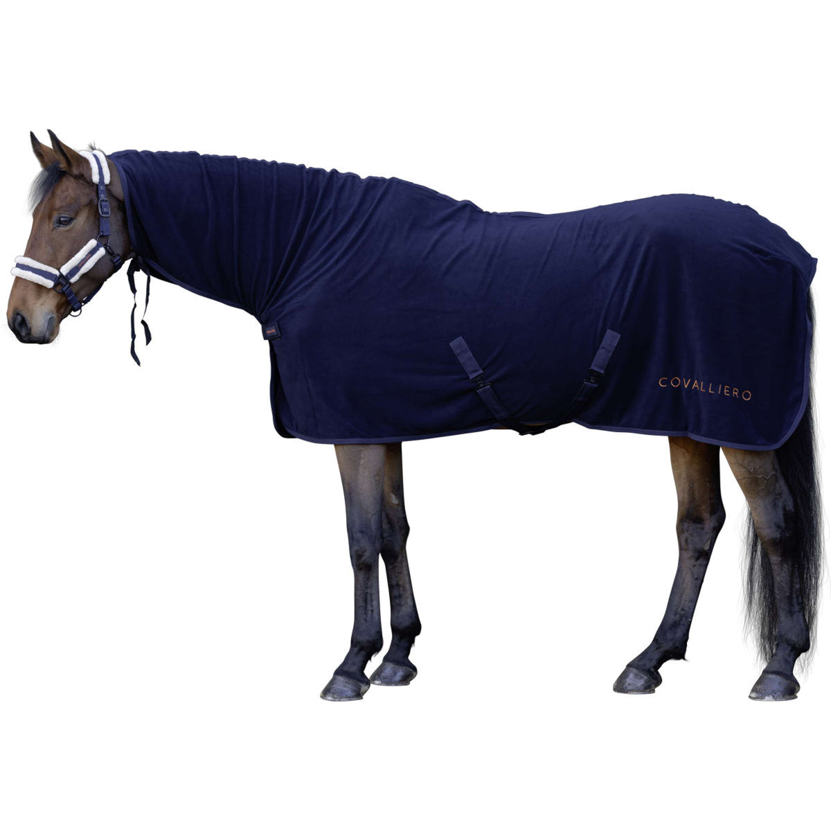 Covalliero Coperta antisudore AW26 Dark Navy
