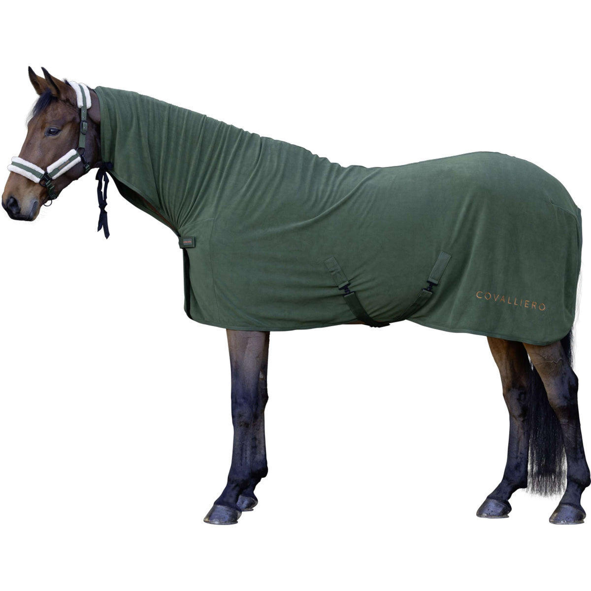 Covalliero Coperta antisudore AW26 Forest Green