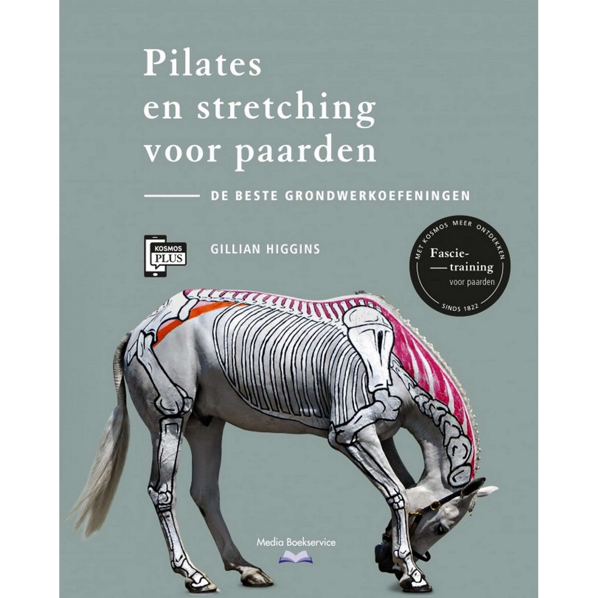 Pilates e stretching per cavalli