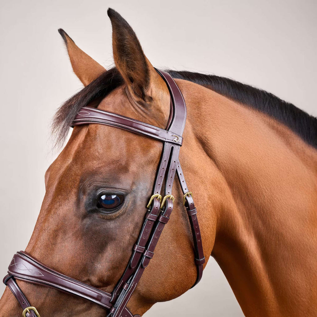 Dyon Briglia Anatomic Flash Marrone