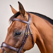 Dyon Briglia Anatomic Flash Marrone