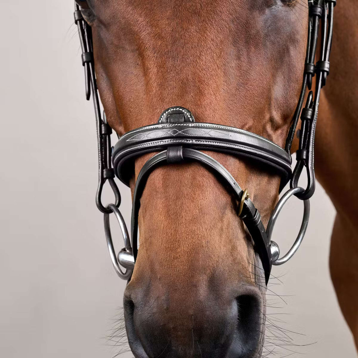 Dyon Briglia Flash Nero