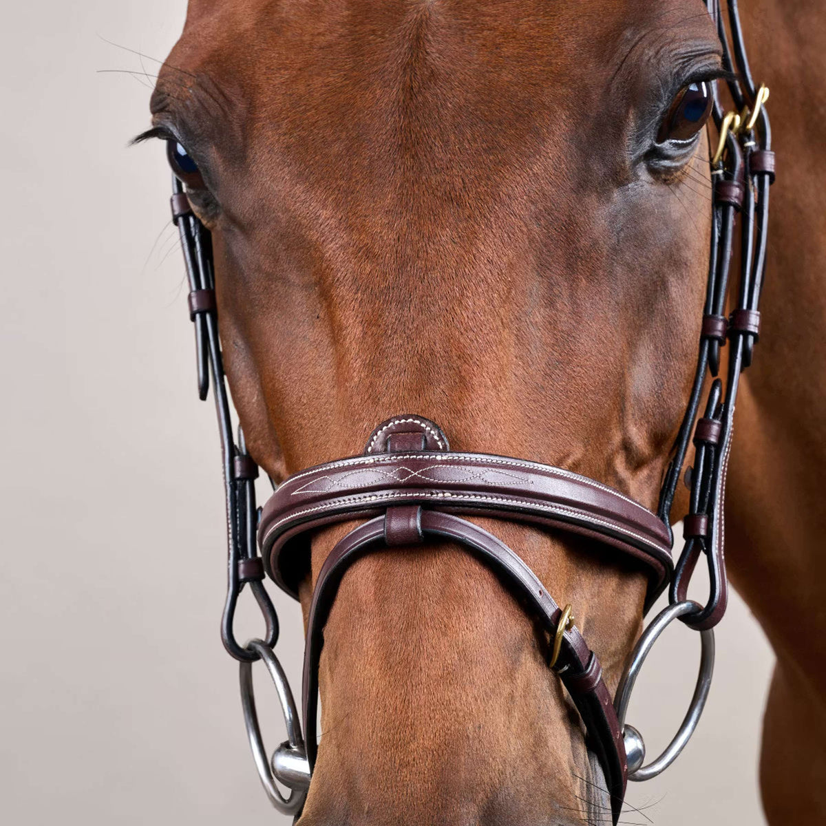 Dyon Briglia Flash Marrone