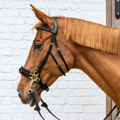Dyon Briglia Hackamore Nero