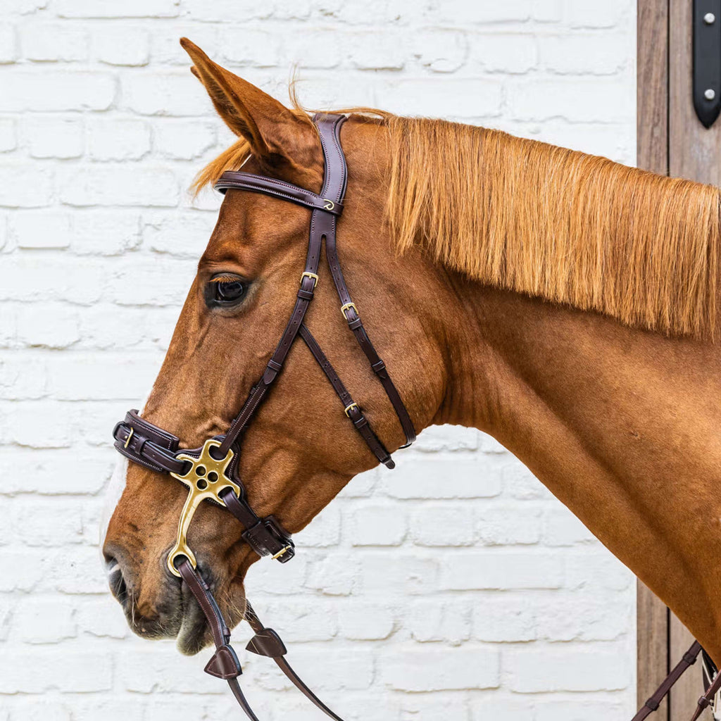Dyon Briglia Hackamore Marrone