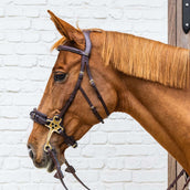 Dyon Briglia Hackamore Marrone