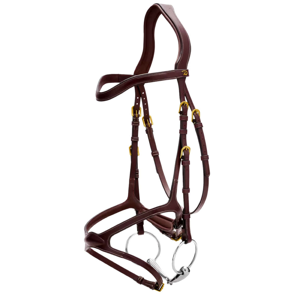 Dyon Briglia X-Fit Marrone