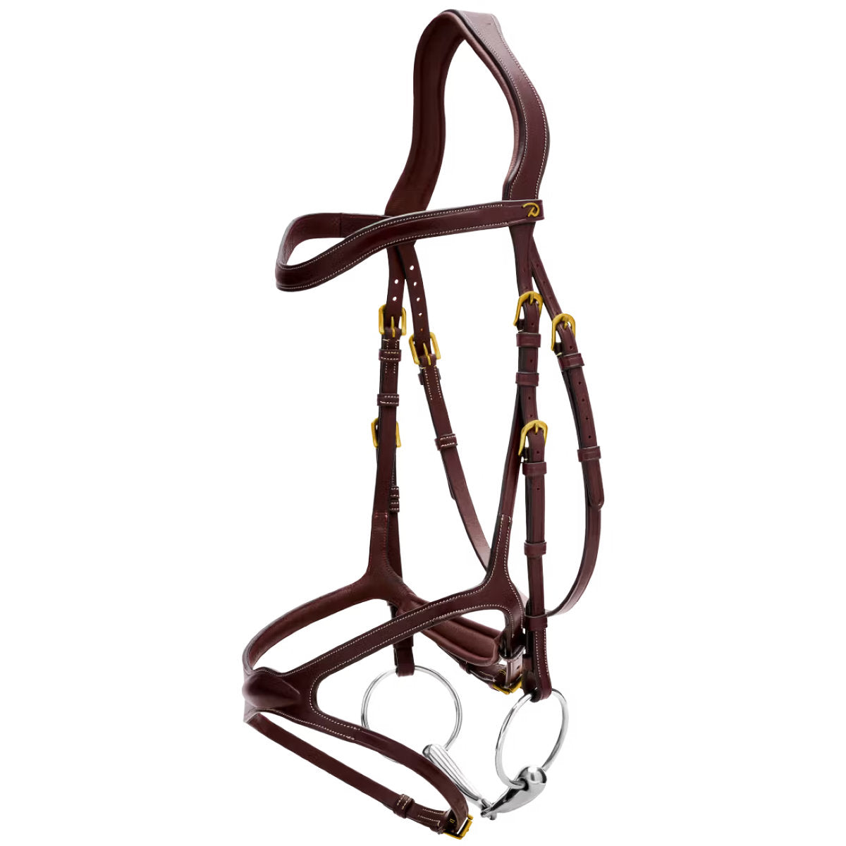 Dyon Briglia X-Fit Marrone