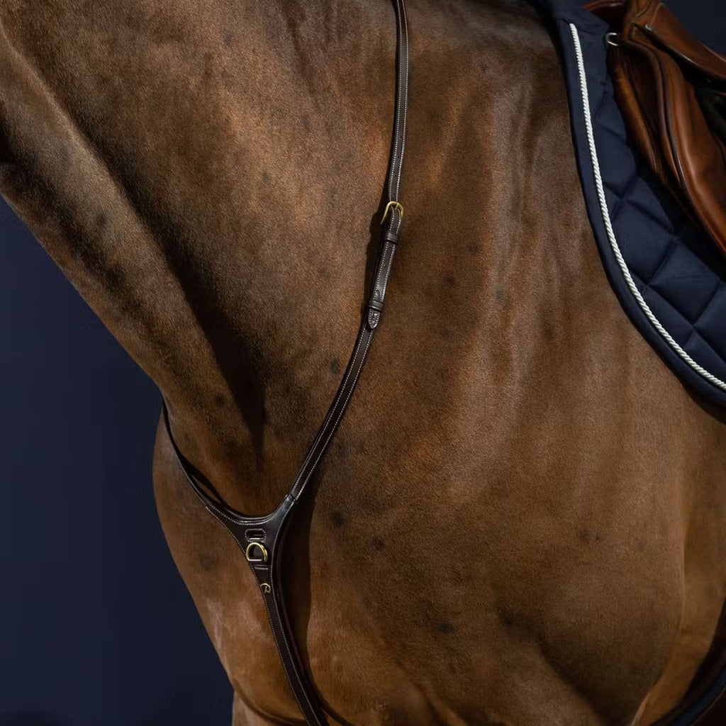 Dyon Martingala Yoke Marrone