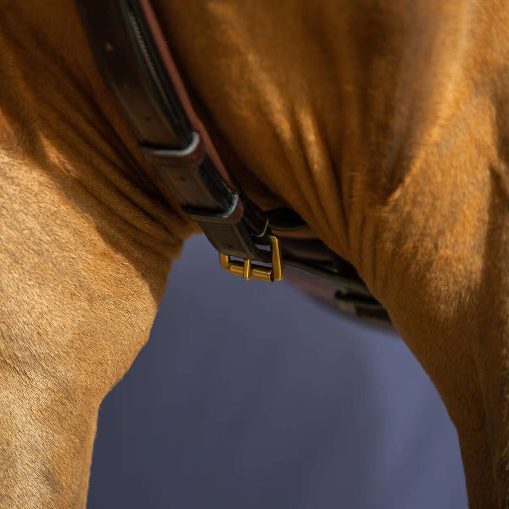 Dyon Martingala Yoke Marrone
