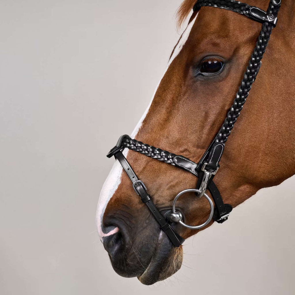 Dyon Briglia Training Nero