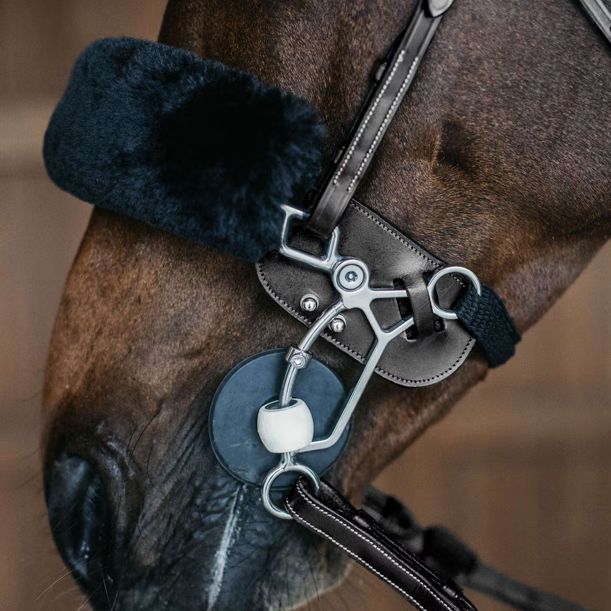 Dyon Protezione Hackamore Nero