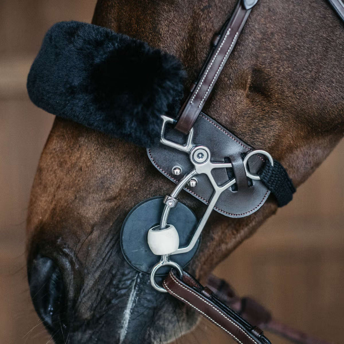 Dyon Protezione Hackamore Marrone