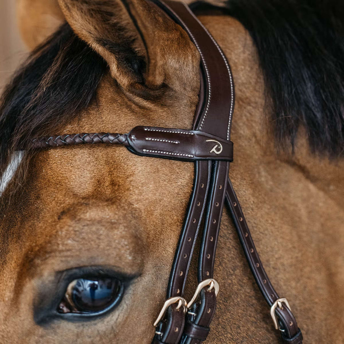 Dyon Frontalino Braided Marrone