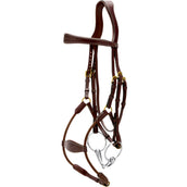 Dyon Briglia Elastic Hybrid Marrone