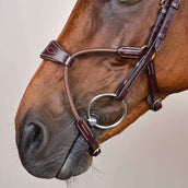 Dyon Briglia Elastic Hybrid Marrone