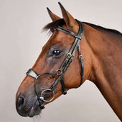 Dyon Briglia Hybrid Nero