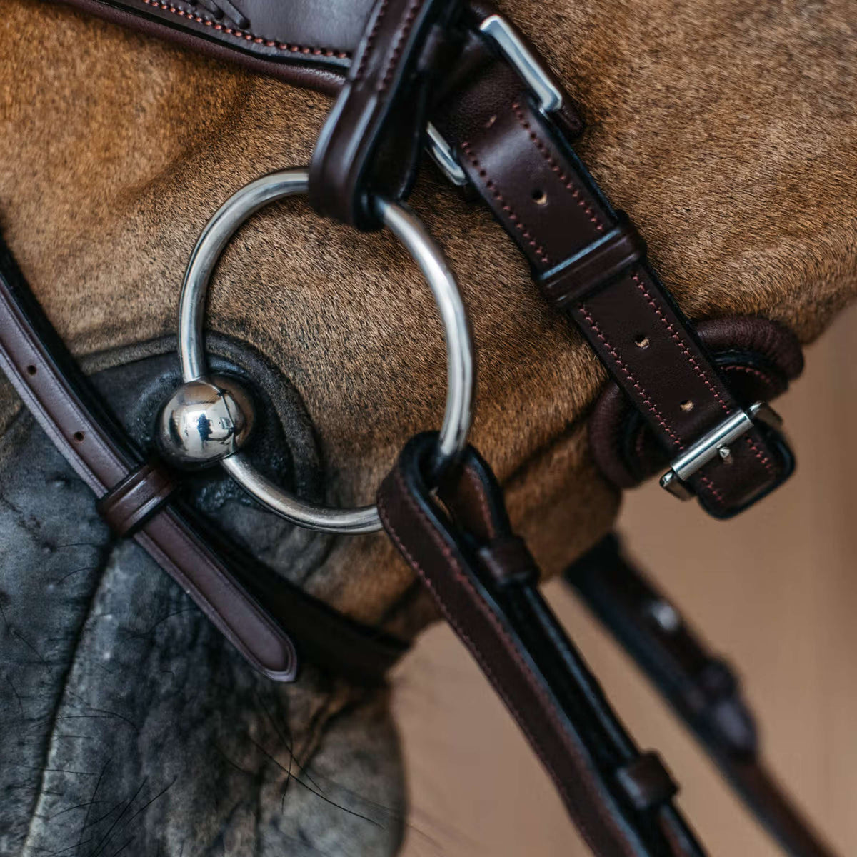 Dyon Capezzina Flash Pull-Back Intrecciato Marrone