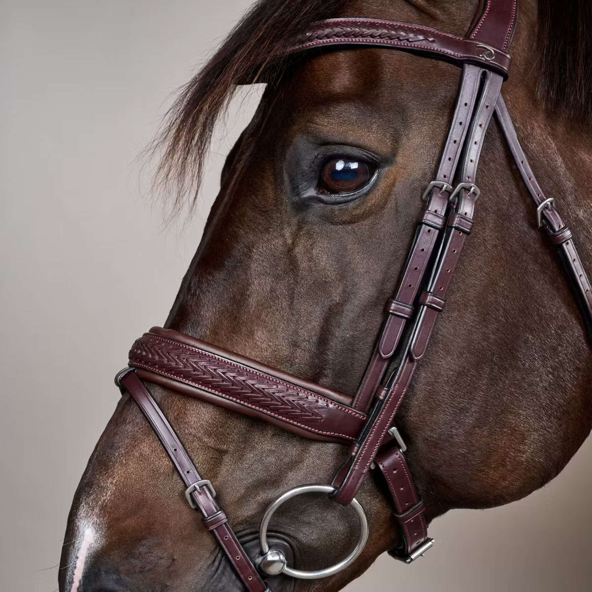 Dyon Briglia Flash Pull-Back Intrecciato Marrone
