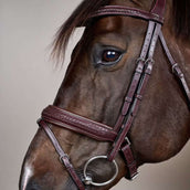 Dyon Briglia Flash Pull-Back Intrecciato Marrone
