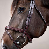 Dyon Briglia Flash Intrecciato Marrone