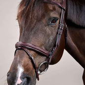 Dyon Briglia Flash Intrecciato Marrone