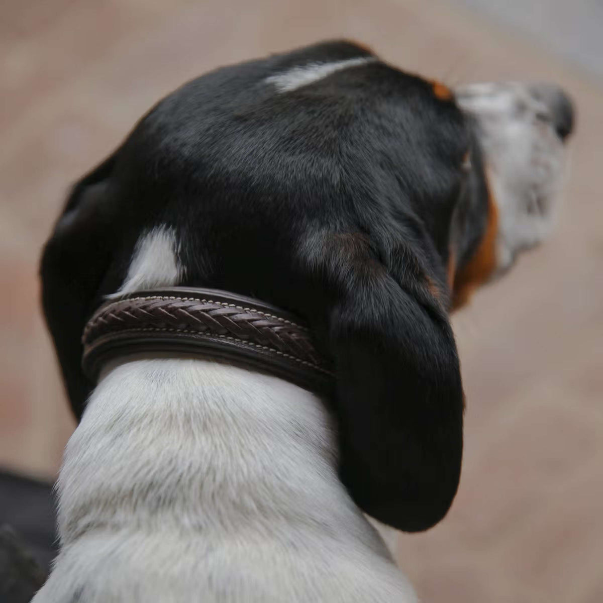 Dyon Halsband Intrecciato Marrone