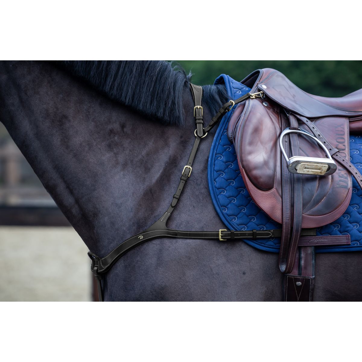 Dyon Pettorina Anatomical Nero/Ottone