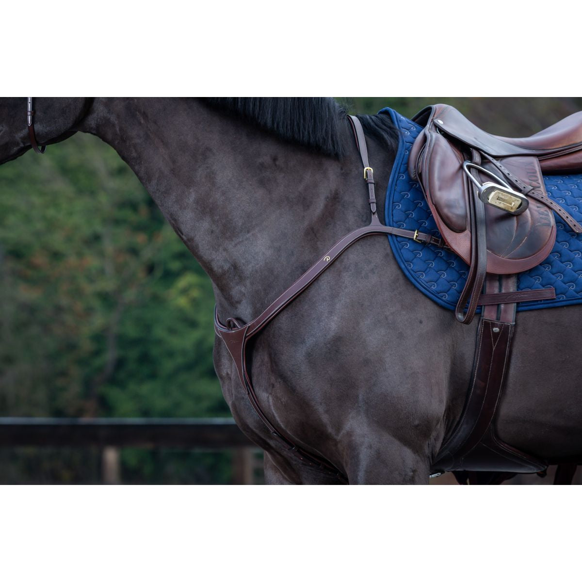 Dyon Pettorina Long Bridge Marrone/Ottone