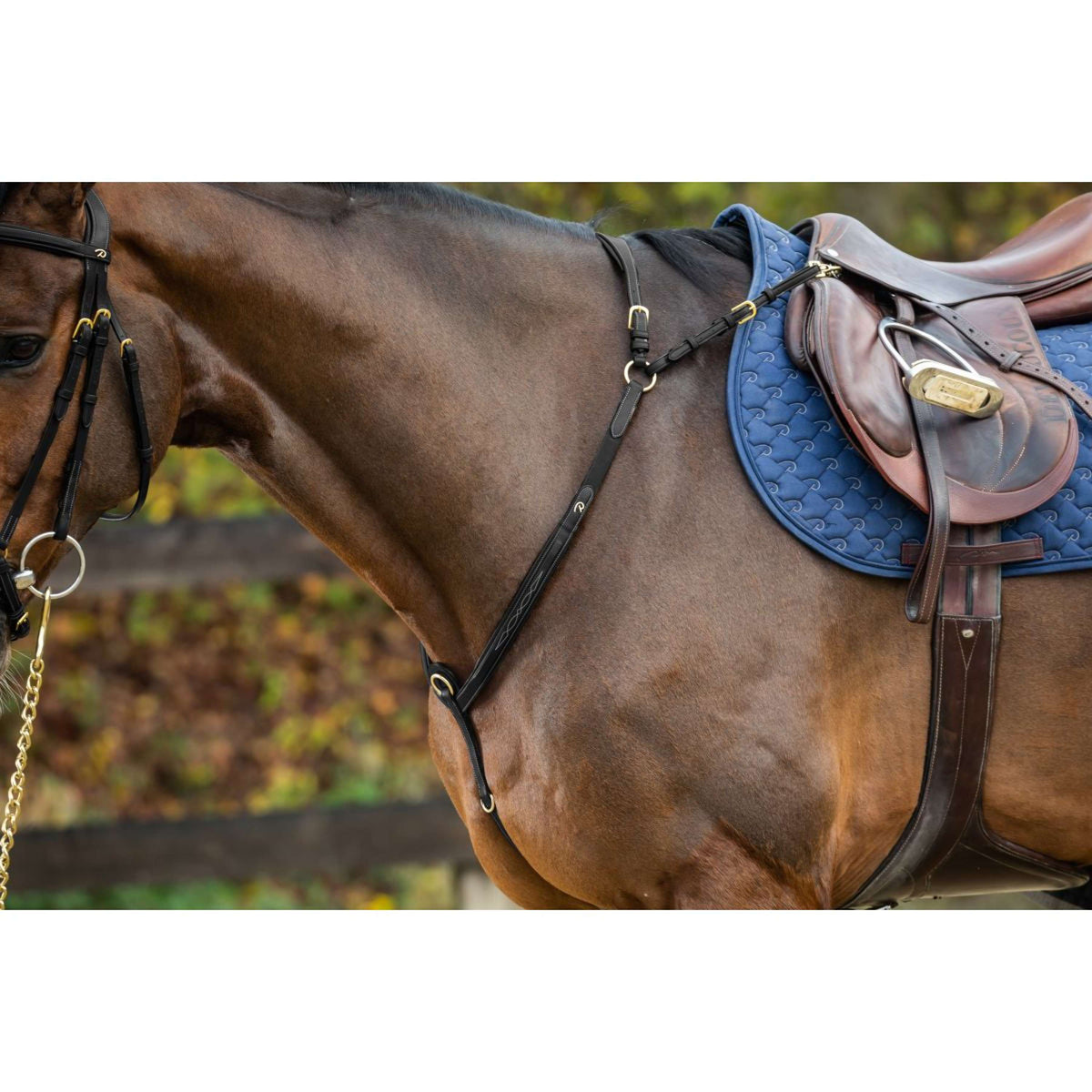 Dyon Pettorina Bridge Nero/Ottone