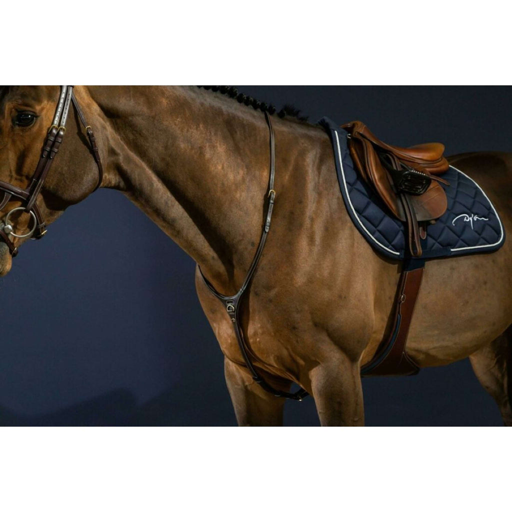 Dyon Martingala Yoke Marrone