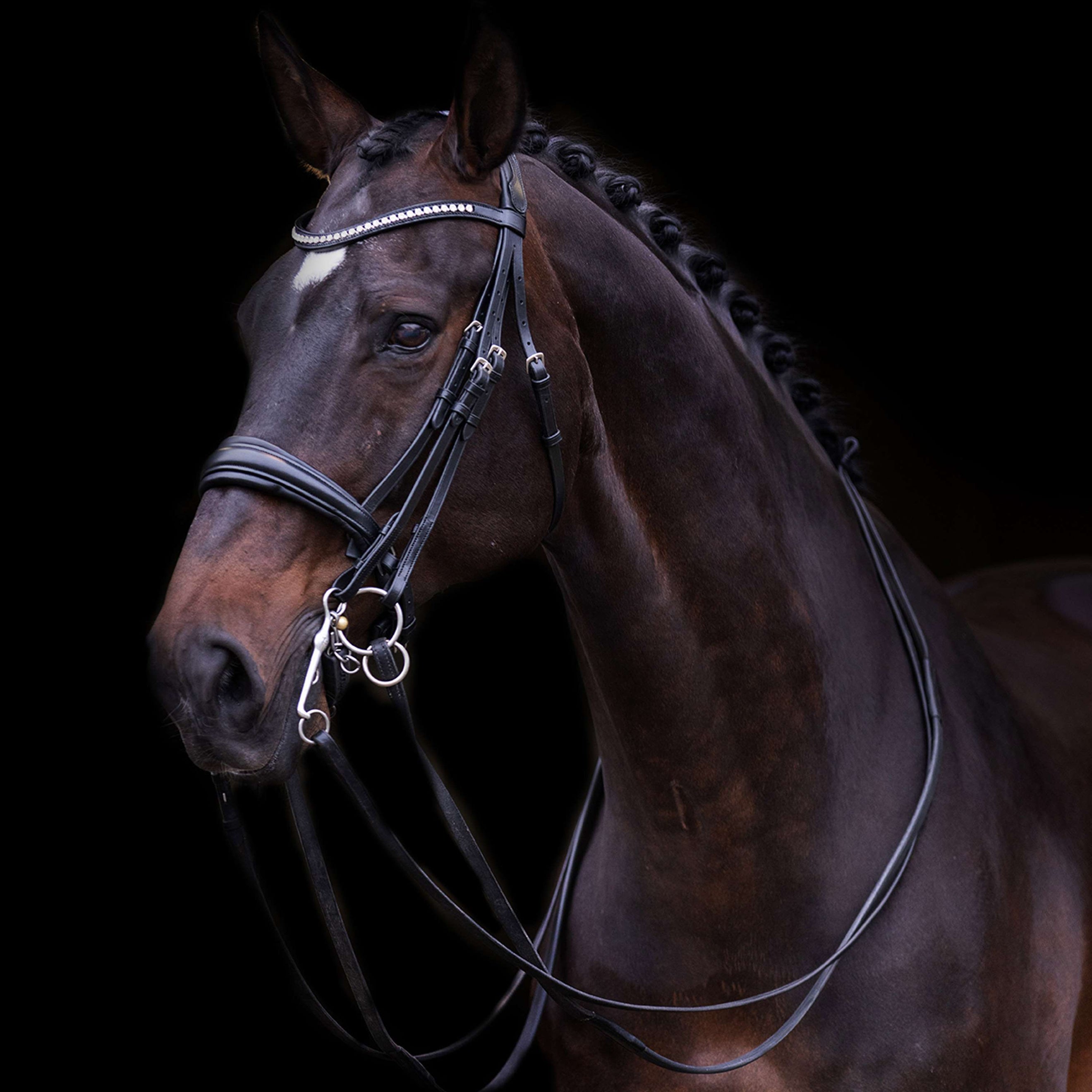 Imperial Riding Briglia Doppia IRHFria Nero Imperial Riding Briglia Doppia IRHFria Nero