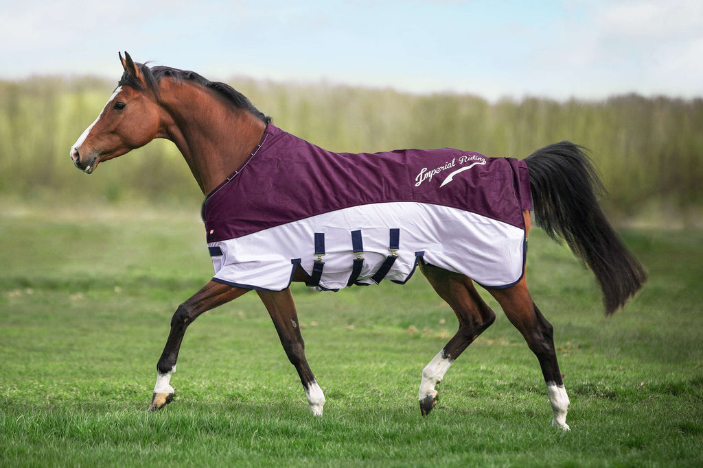 Imperial Riding Mosca e Coperta Antipioggia IRHSuper-Dry Bordeaux