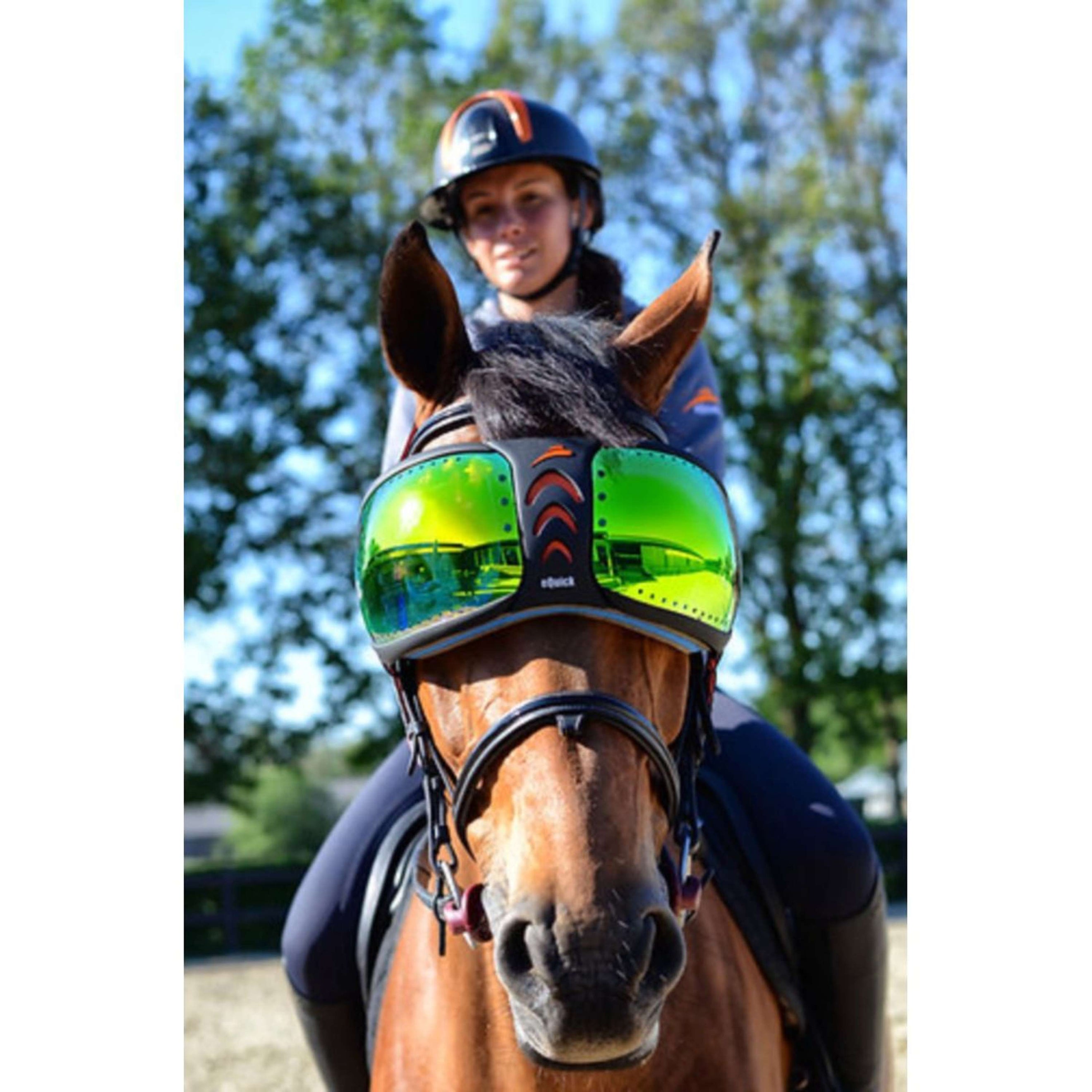 eQuick Occhiali eVysor Specchiato Mirrored Green