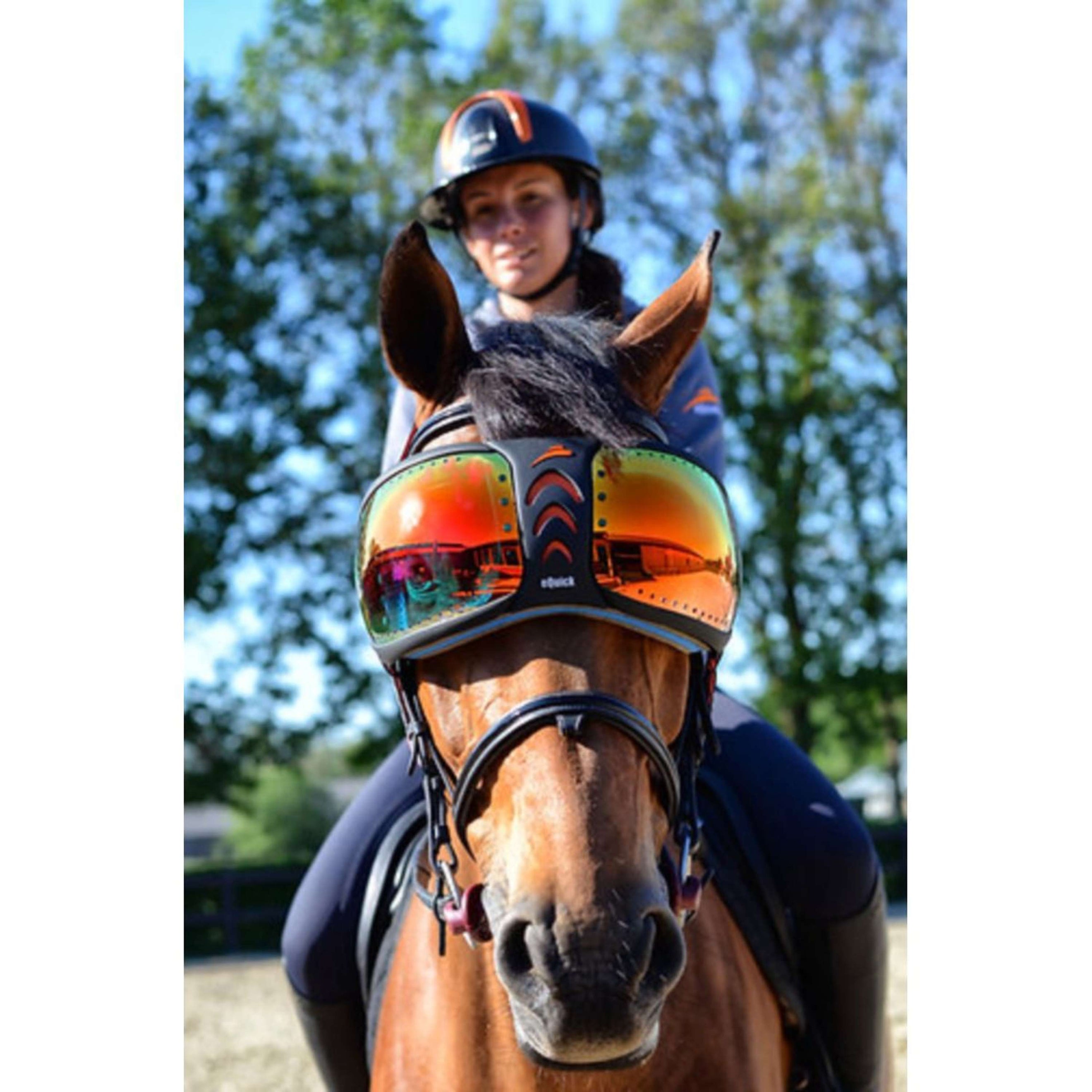 eQuick Occhiali eVysor Specchiato Mirrored Rainbow eQuick Occhiali eVysor Specchiato Mirrored Rainbow