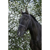 Riding World Briglia L'Avana