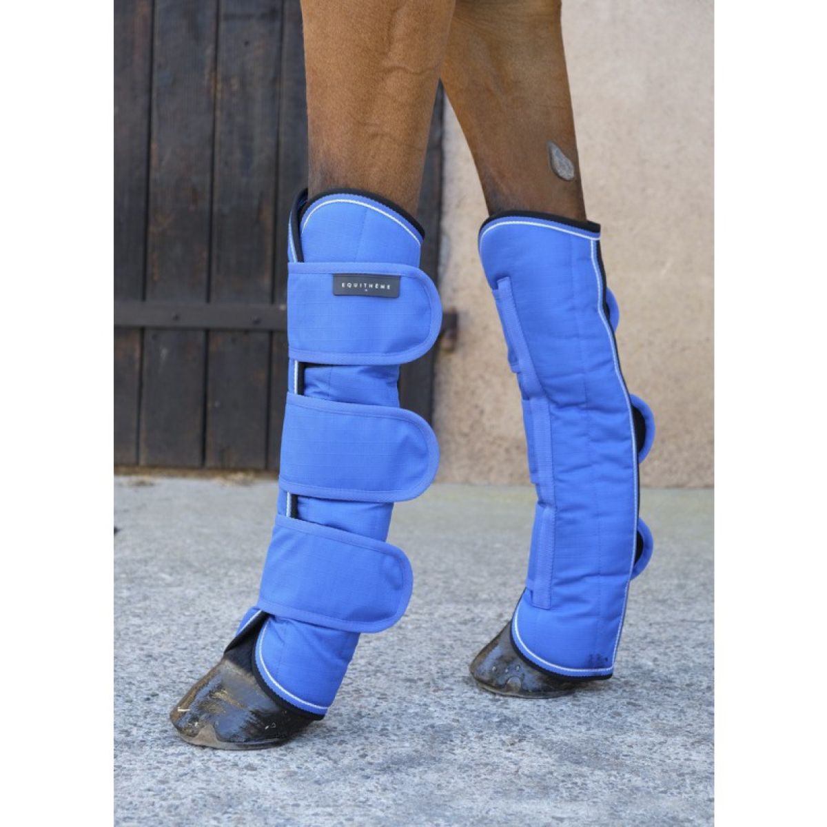 EQUITHÈME Protettori da trasporto Tyrex Blu/Nero