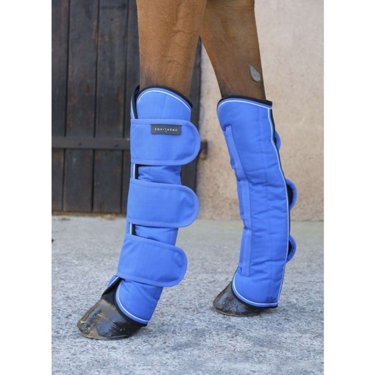 EQUITHÈME Protettori da trasporto Tyrex Blu/Nero