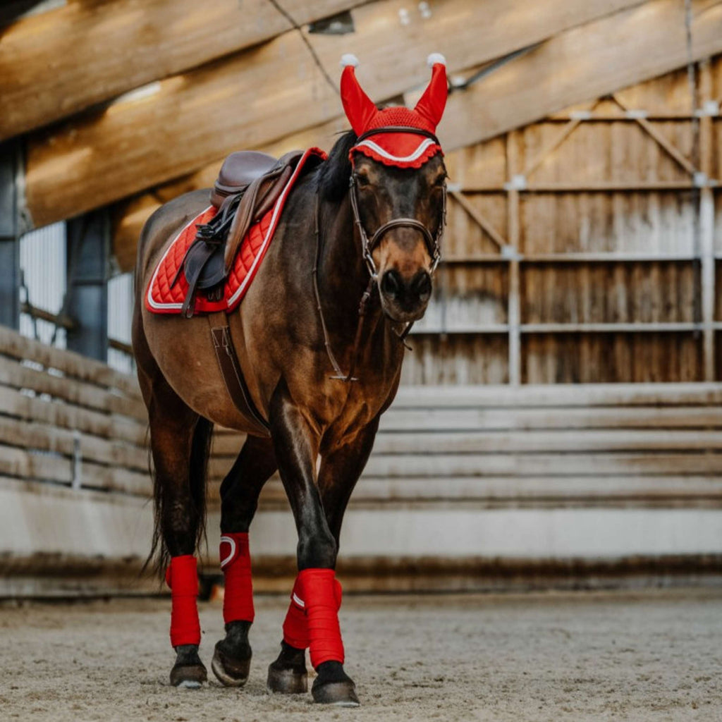 EQUITHÈME Sottosella Natale Uso generale Rosso