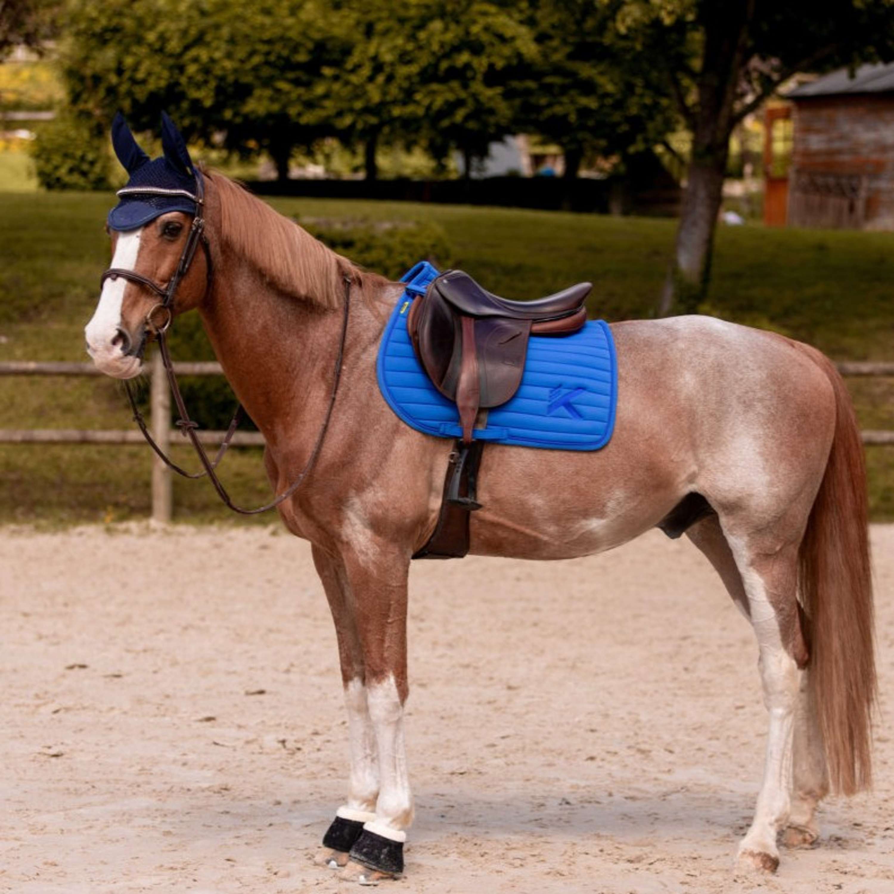 K by EQUITHÈME Sottosella Triton Saltando Blu reale