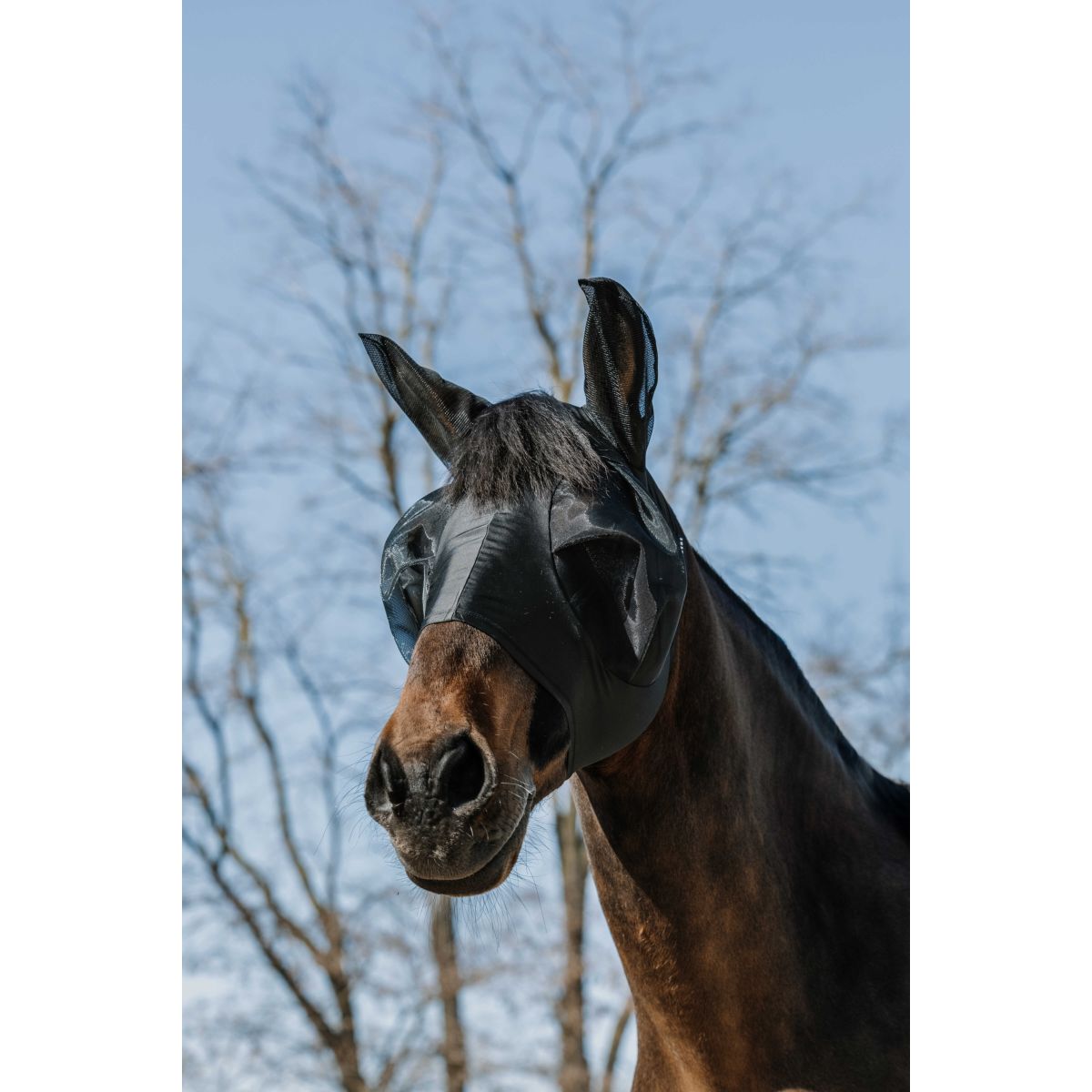 EQUITHÈME Maschera per Mosche Lycra con Protezione UV Nero