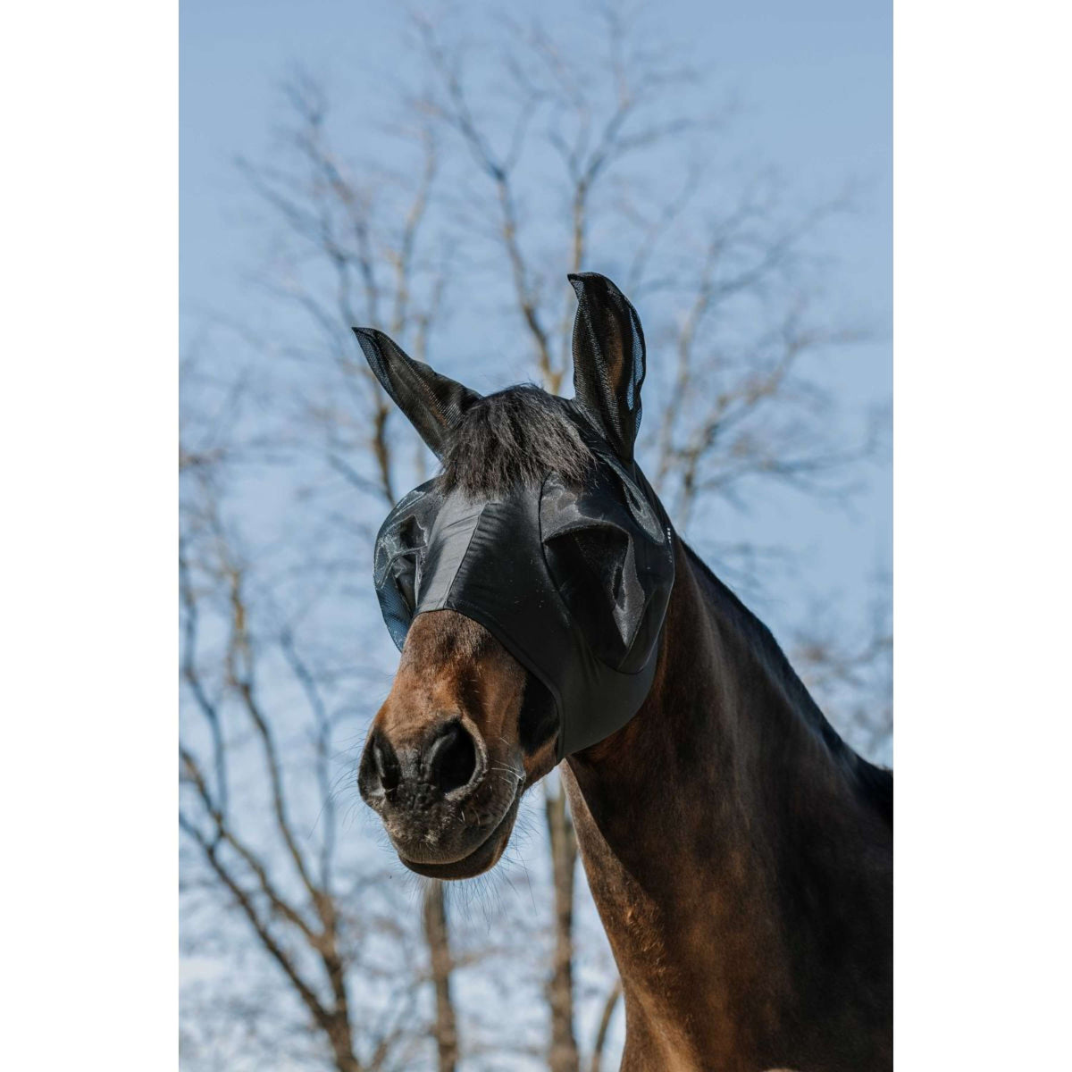 EQUITHÈME Maschera per Mosche Lycra con Protezione UV Nero