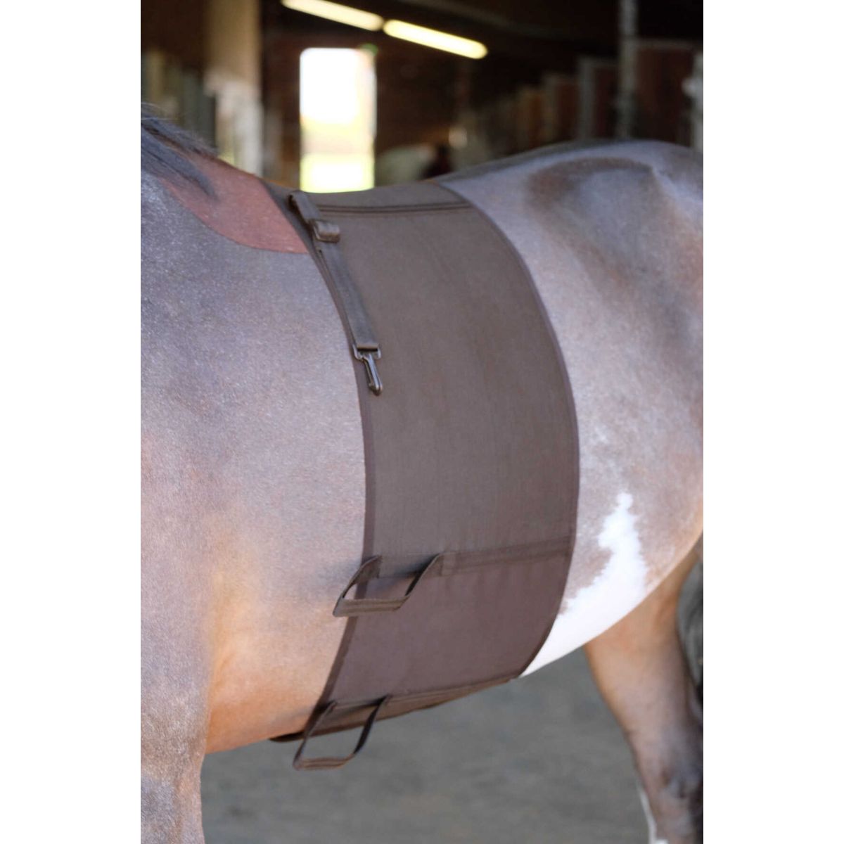 Norton Fascia Addominale Marrone