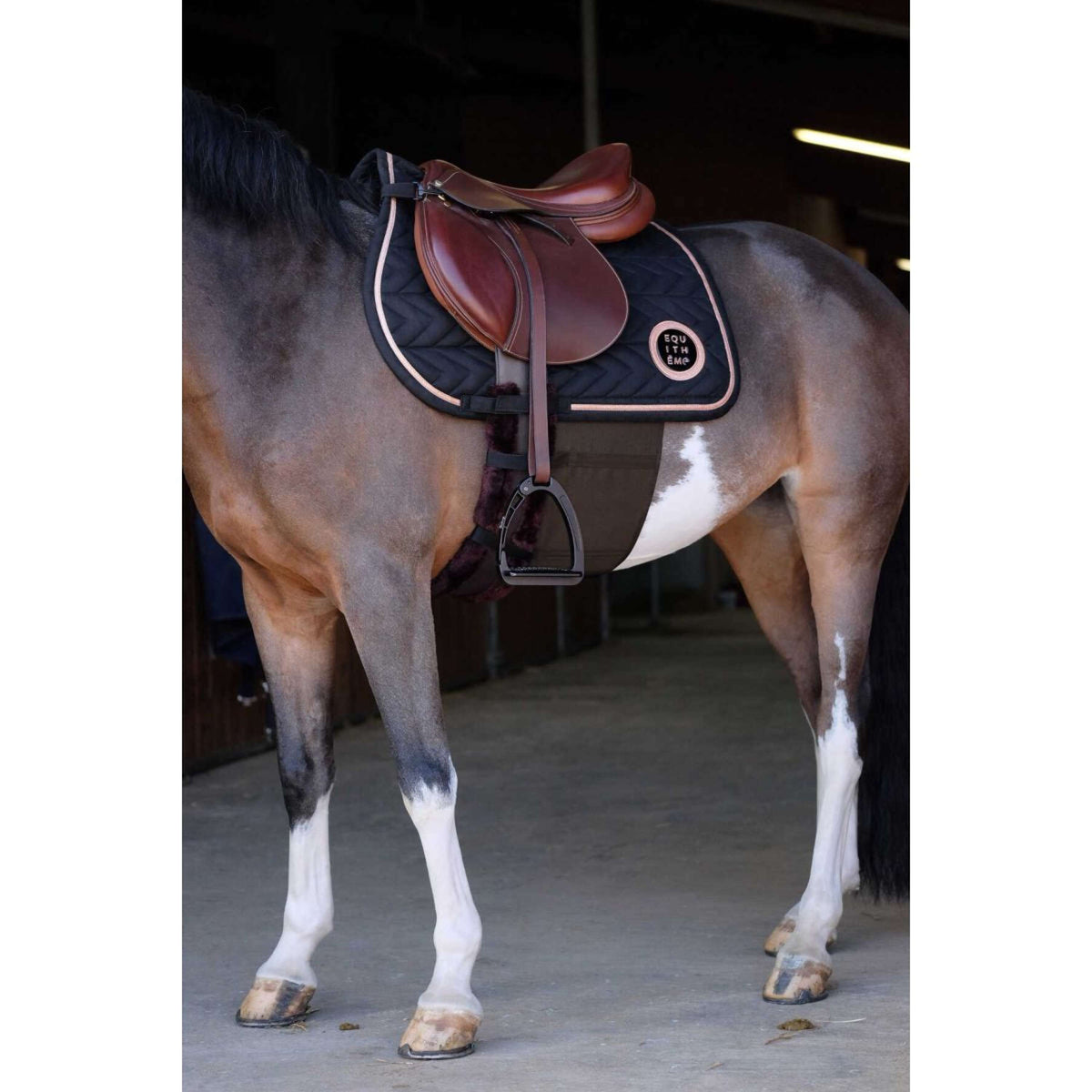 Norton Fascia Addominale Marrone