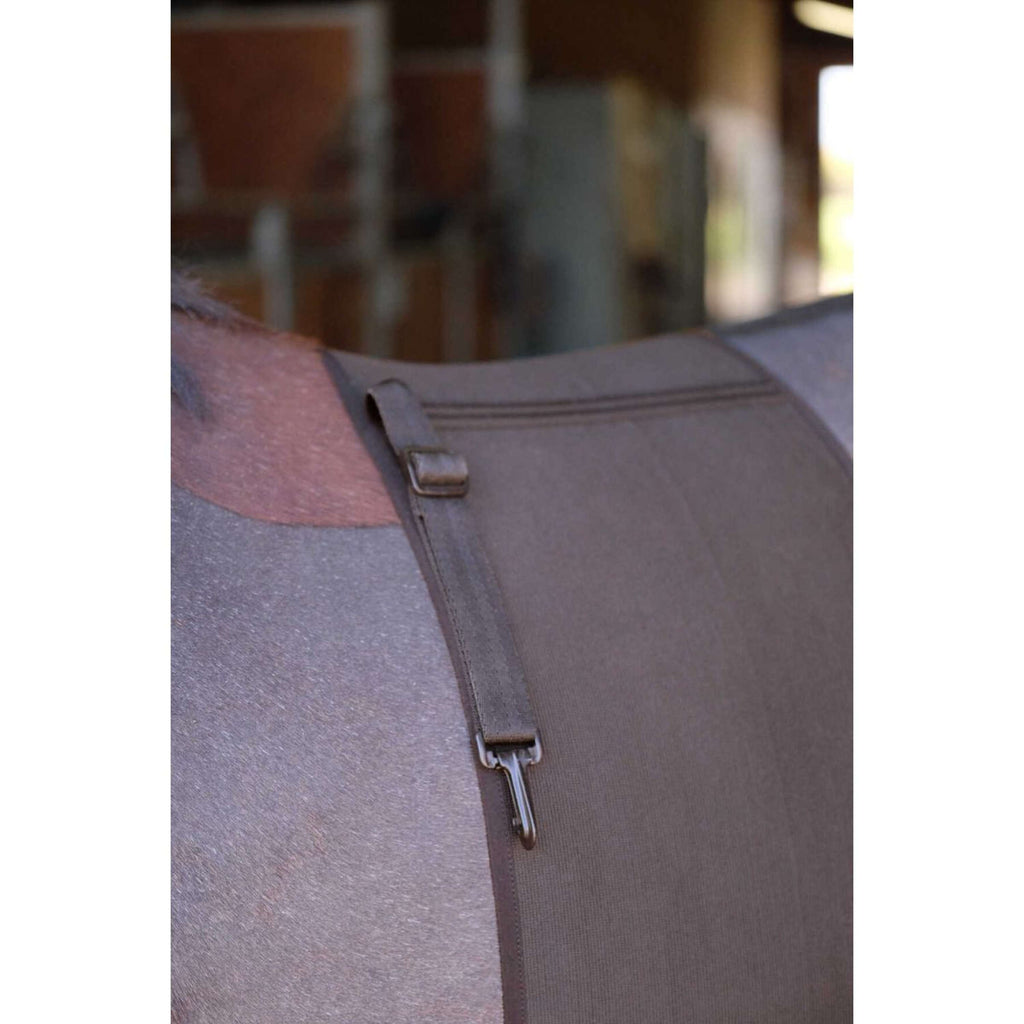 Norton Fascia Addominale Marrone